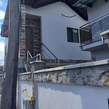 Vila Davison Targu Jiu Exterior photo