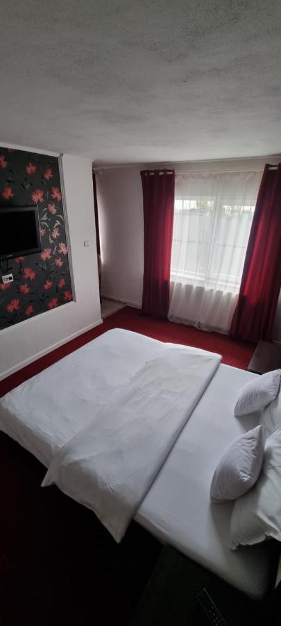 Apartment Davison Targu Jiu
