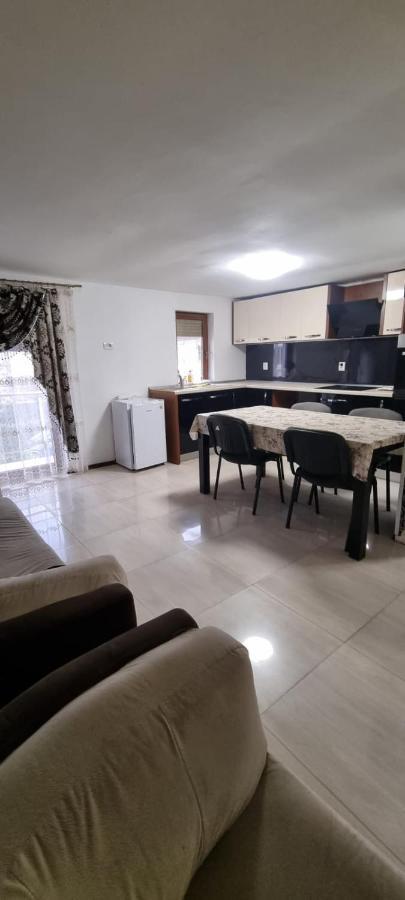 Apartment Davison Targu Jiu