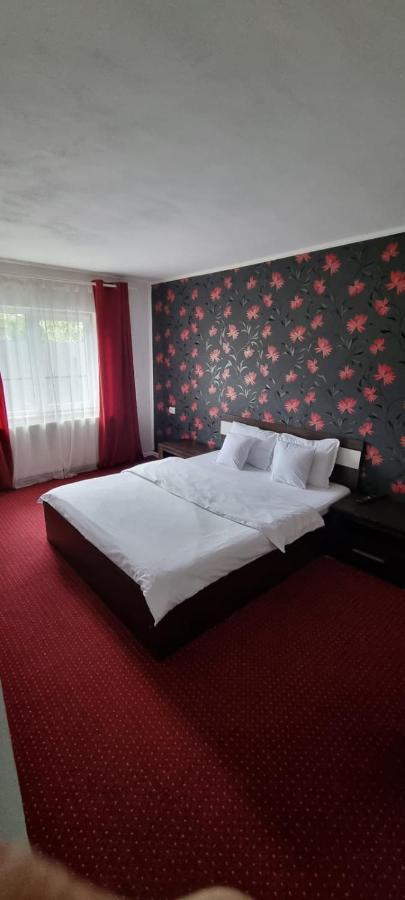 Apartment Davison Targu Jiu